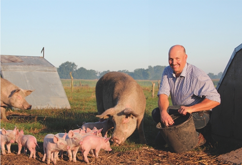 Ferkel und Züchter Johannes Eichinger